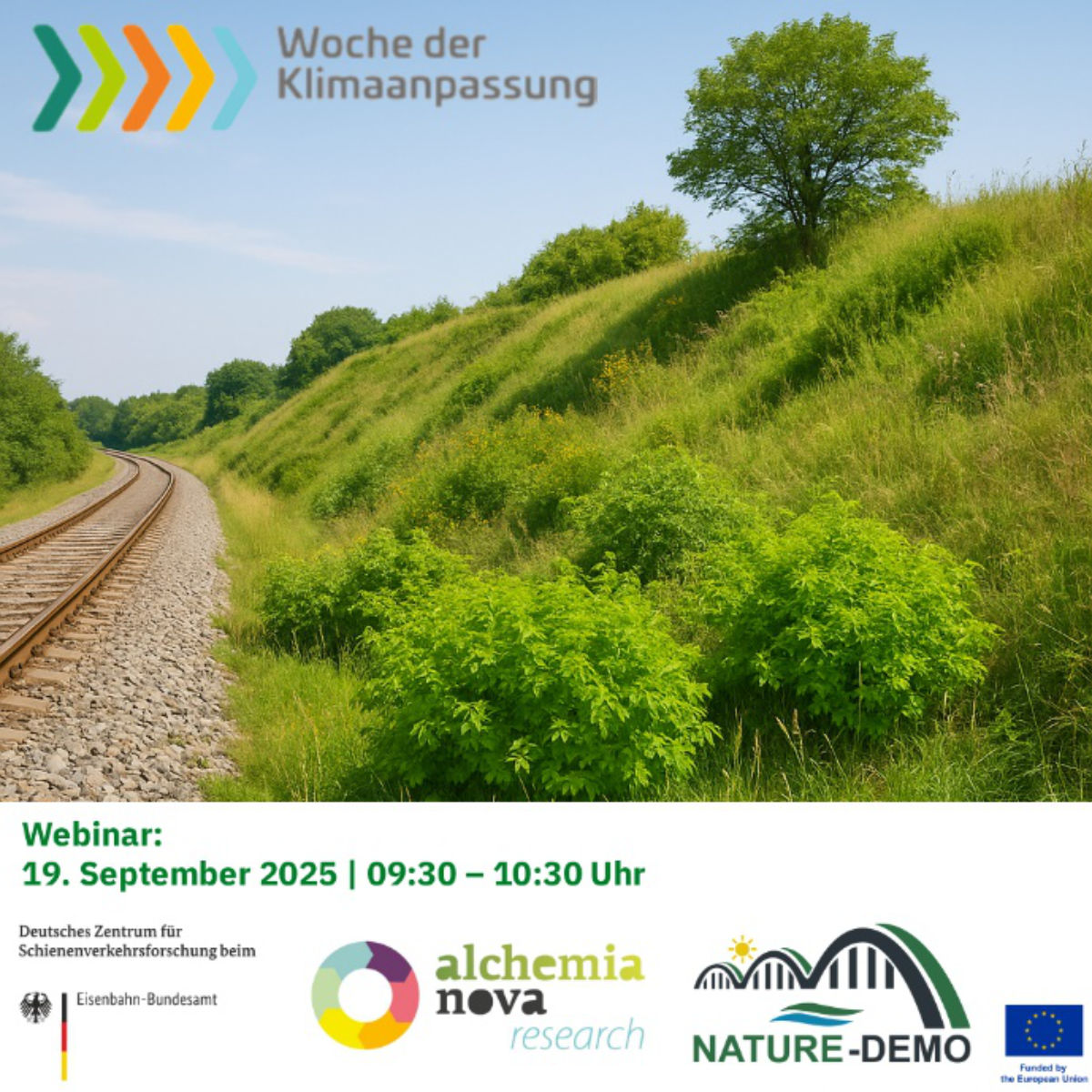 Nature-Based Solutions for Climate-Resilient Infrastructure – Insights from the EU Horizon project Nature-DEMO